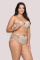 PIA-CAP-BM25-2610-scaled